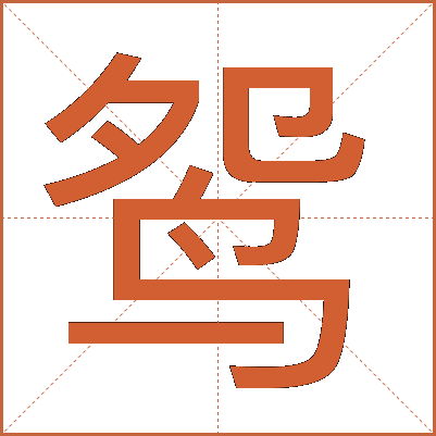鸳