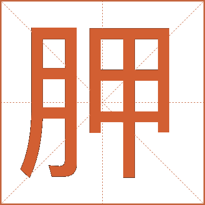 胛