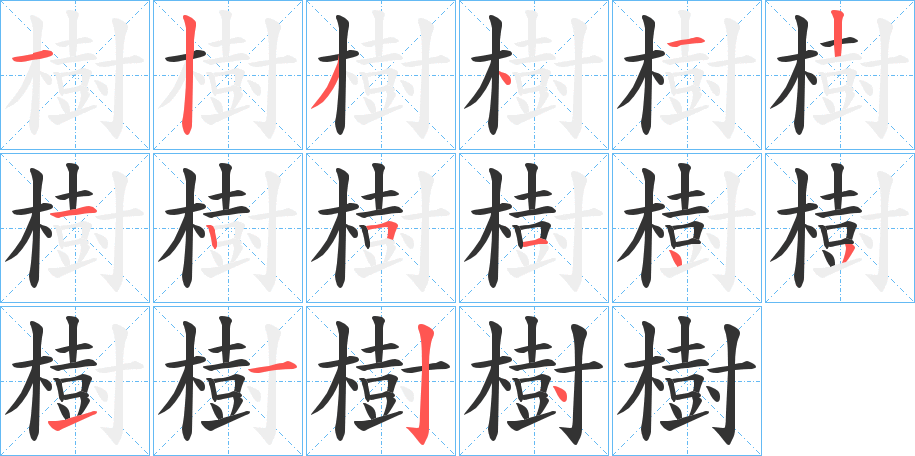 樹的笔顺分步演示