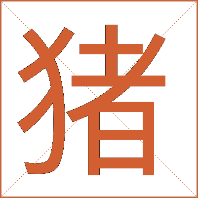 猪